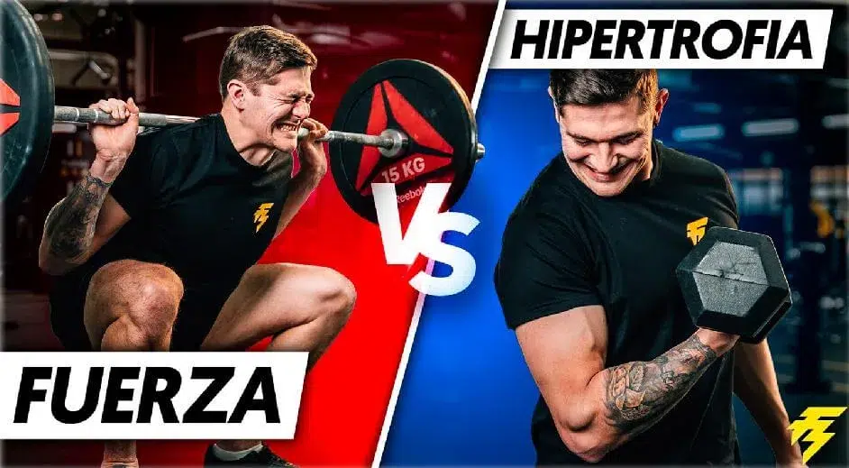 Fuerza vs ganar músculo