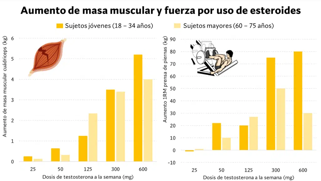 Diferencias en el entrenamiento 11