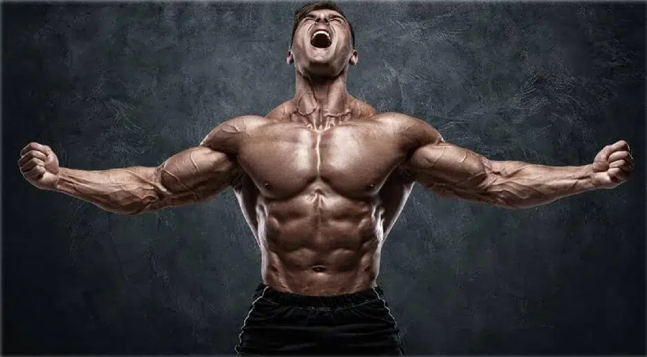 Hipertrofia muscular