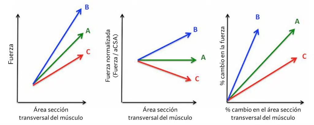 Tres relaciones alternativas