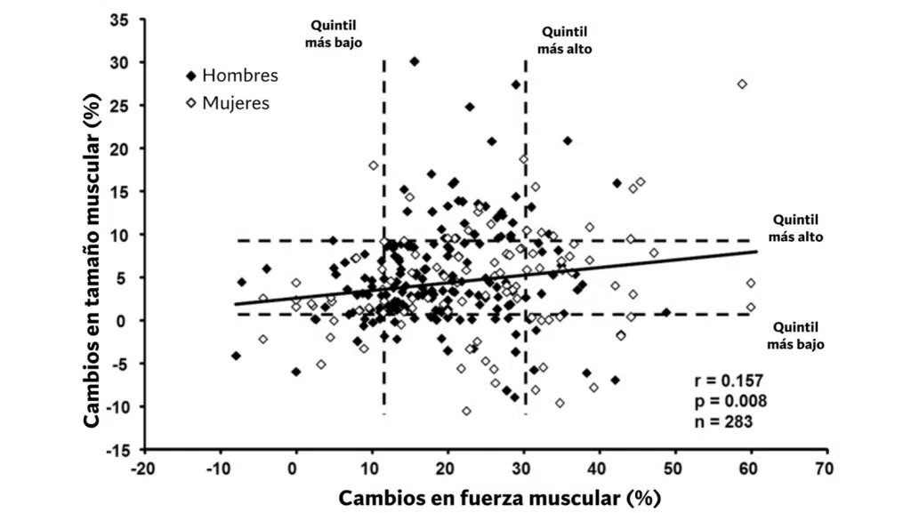 Cambios en tamaño y fuerza muscular