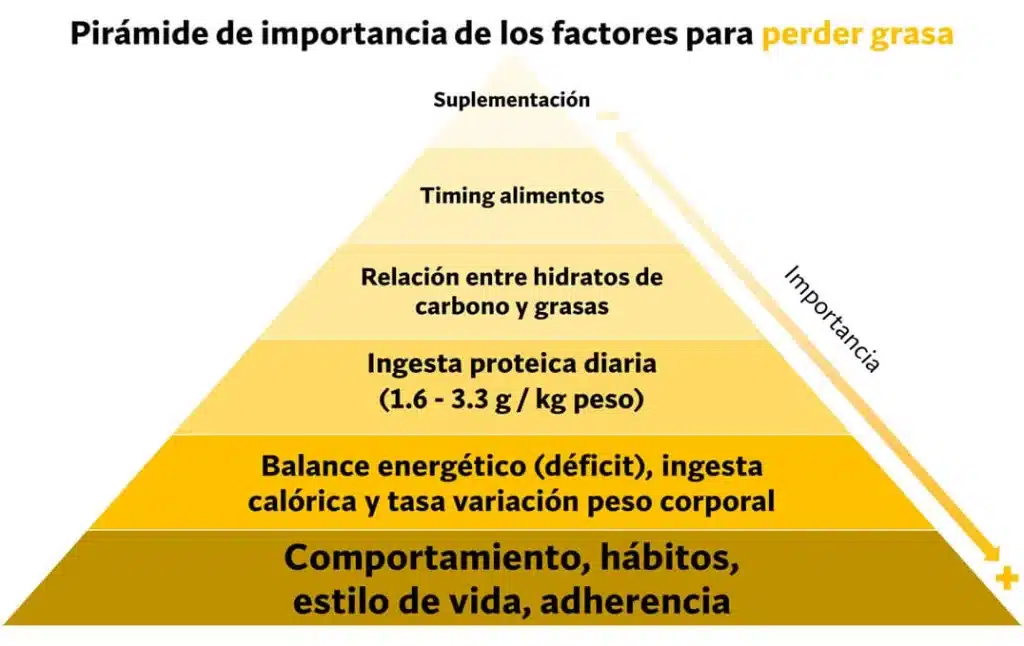 ¿Cuál es la mejor dieta para definición muscular? Según la ciencia. 107 cómo perder grasa corporal