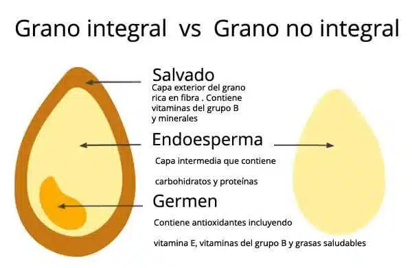 grano integral y grano no integral