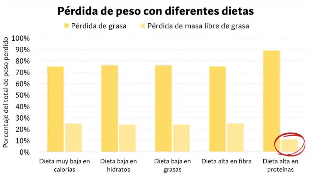 ¿Cuál es la mejor dieta para definición muscular? Según la ciencia. 112 perder peso con varias dietas