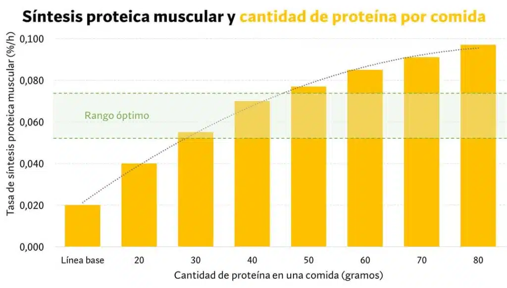 ¿Cuál es la mejor dieta para definición muscular? Según la ciencia. 114 proteínas por comida