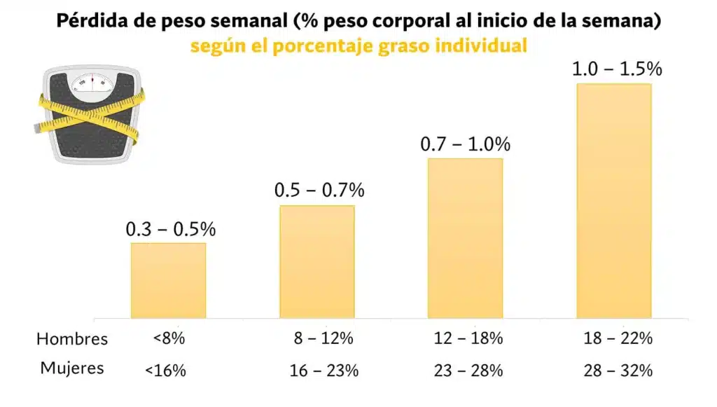 ¿Cuál es la mejor dieta para definición muscular? Según la ciencia. 118 pérdida de grasa