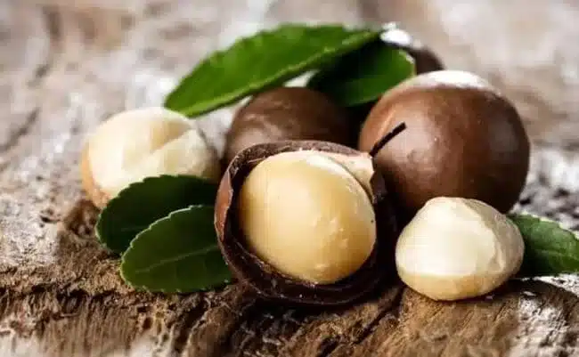 nueces de macadamia