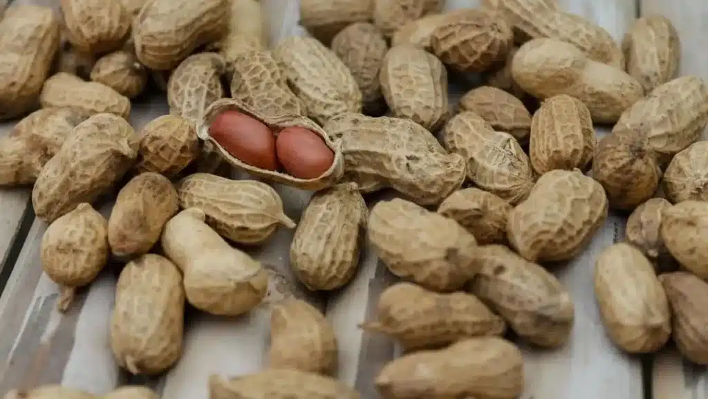 cacahuate