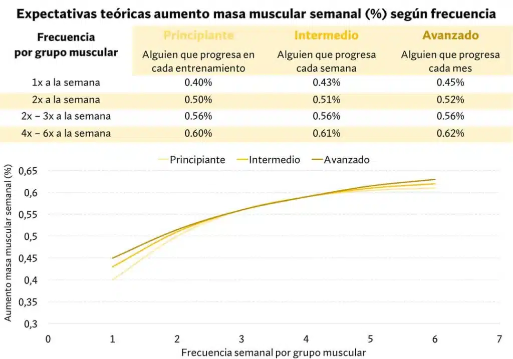¿Cuál es la mejor rutina para ganar músculo? - Según la ciencia 166 ganancia musculara semanal