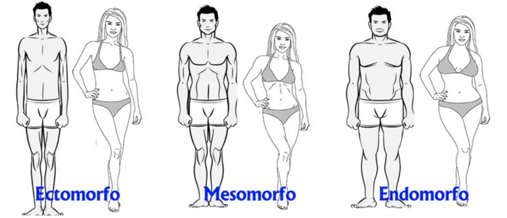 Cómo ganar masa muscular siendo flaco (ectomorfos) 230 lograr músculos sieno flaco