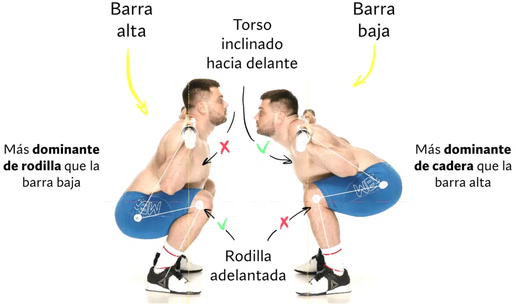 Sentadilla búlgara vs sentadilla con barra, ¿cuál es mejor? 89 Sentadilla barra alta Y baja
