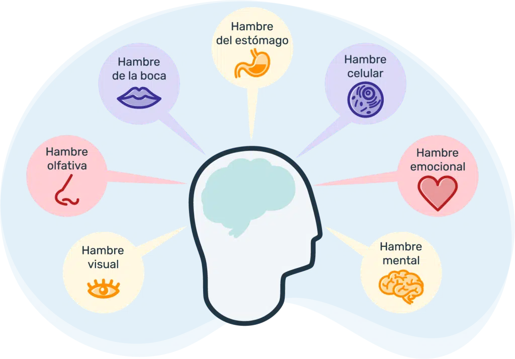 ¿Qué es la alimentación consciente o Mindful Eating? 11 Vínculos entre la alimentación consciente