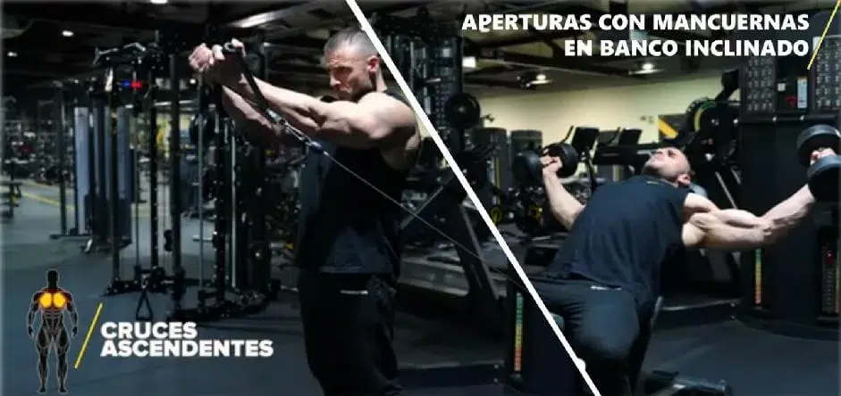 ¿Cuáles son los mejores ejercicios para pecho superior? 33 Sesiones de entrenamiento de empujes