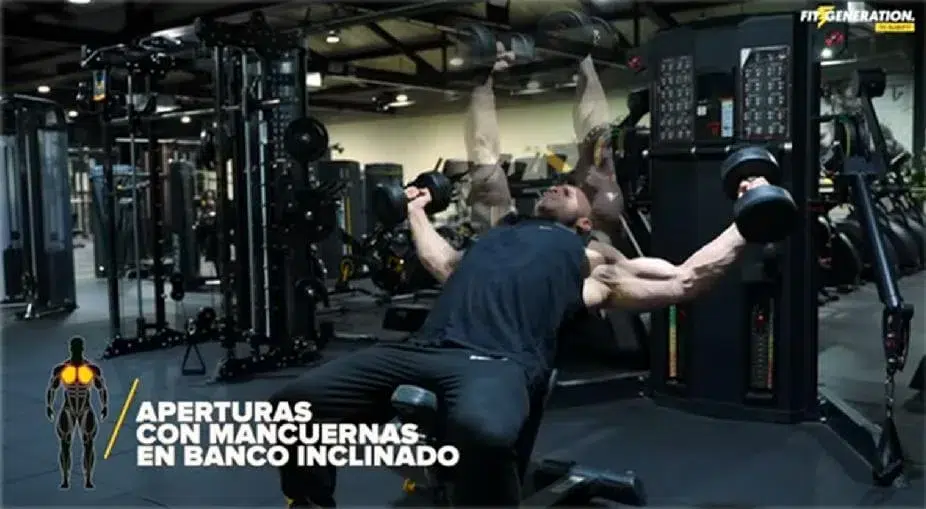 ¿Cuáles son los mejores ejercicios para pecho superior? 42 Aperturas con mancuernas banco inclinado