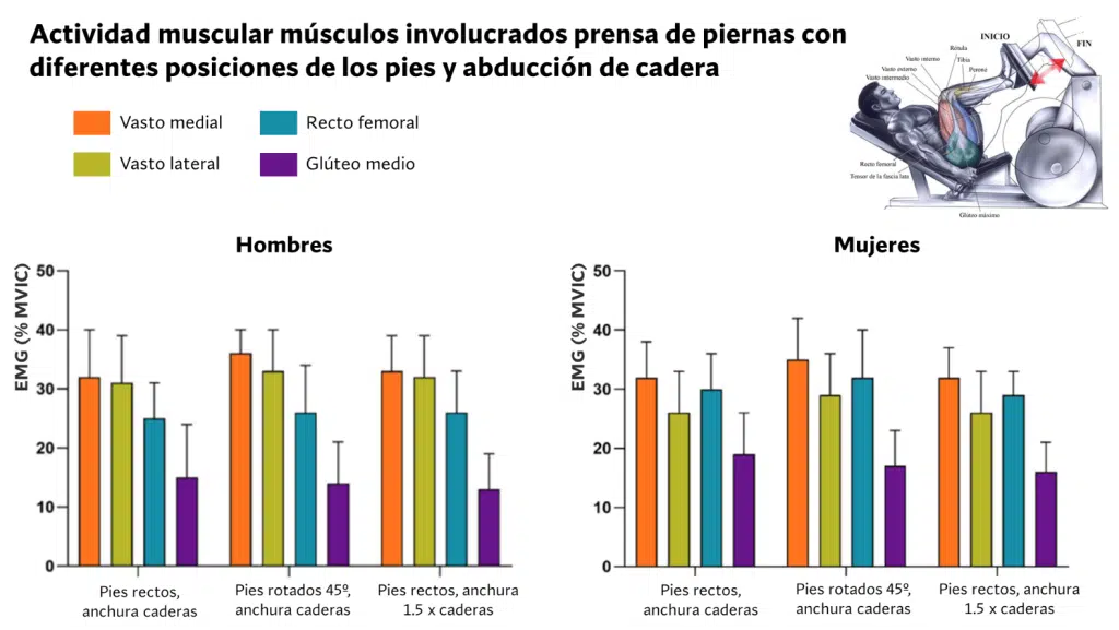 Actividad muscular piernas