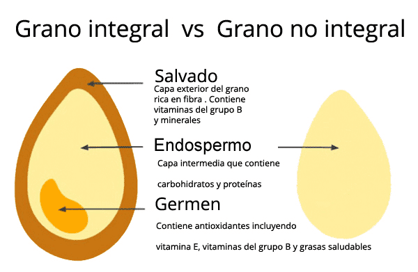 Grano integral vs Grano no integral