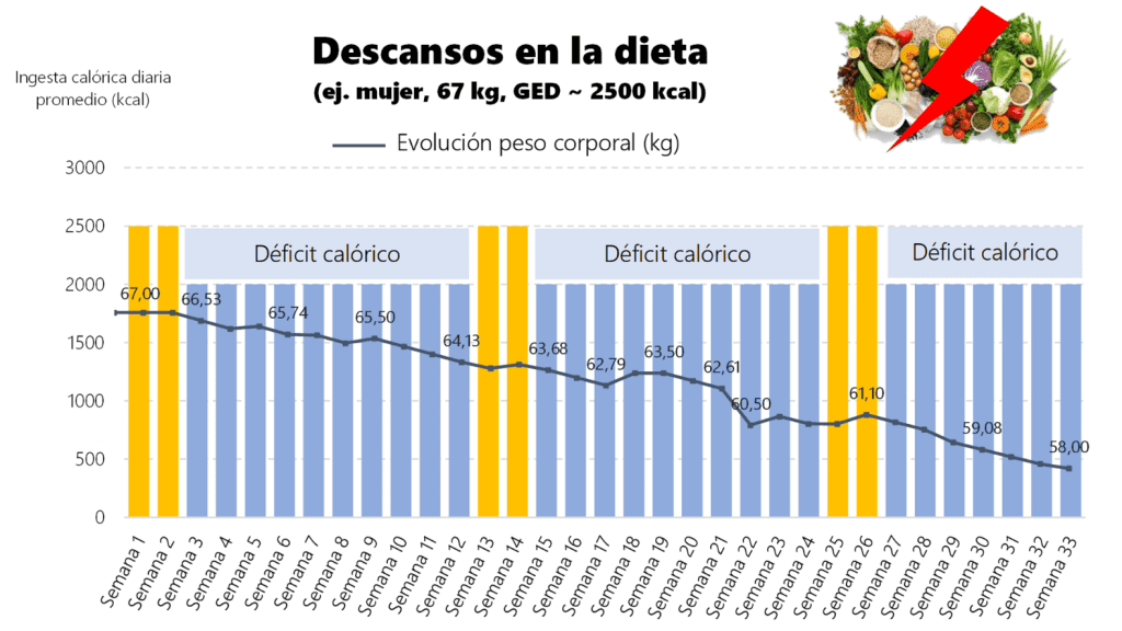 Los descansos en la dieta