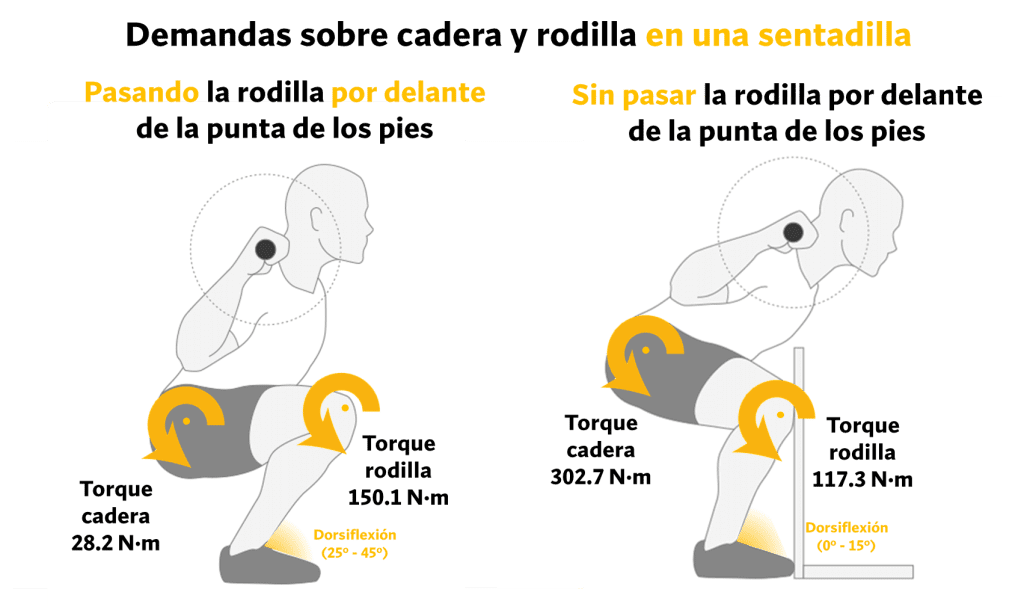 Cadera y rodilla en sentadilla