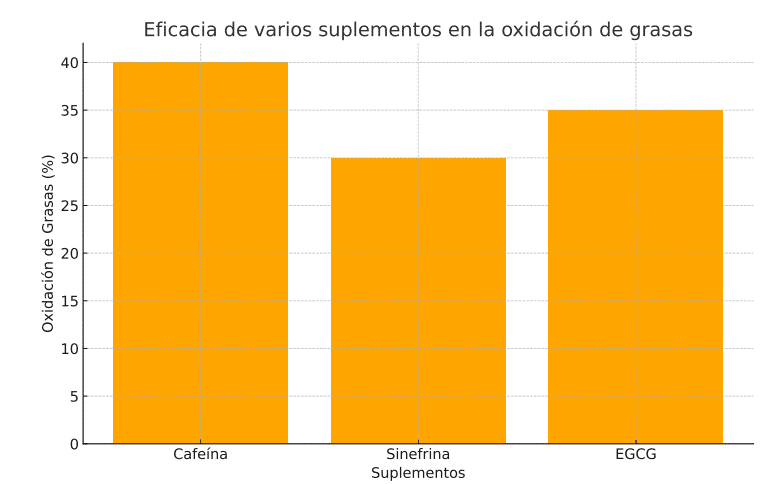 ¿Cómo definir la musculatura? Guía completa y consejos clave. 7 ficacia de varios suplementos