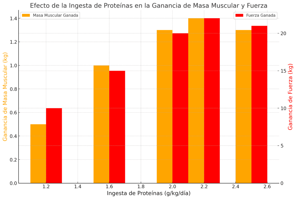 Relación ingesta de proteínas y ganancias masa muscular 