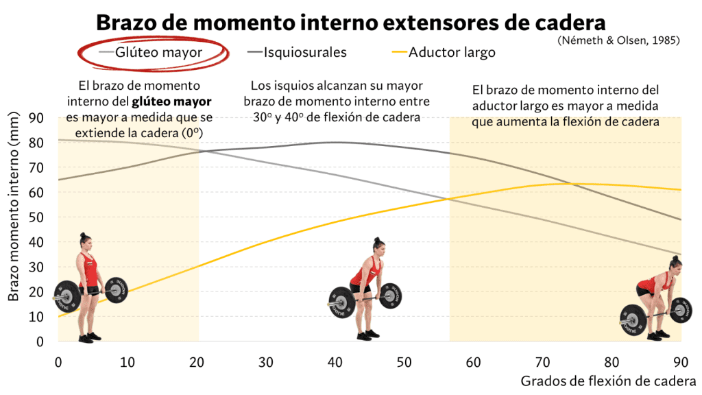 Cómo hacer peso muerto rumano (técnica y consejos) 9 Brazo de momento extensores cadera