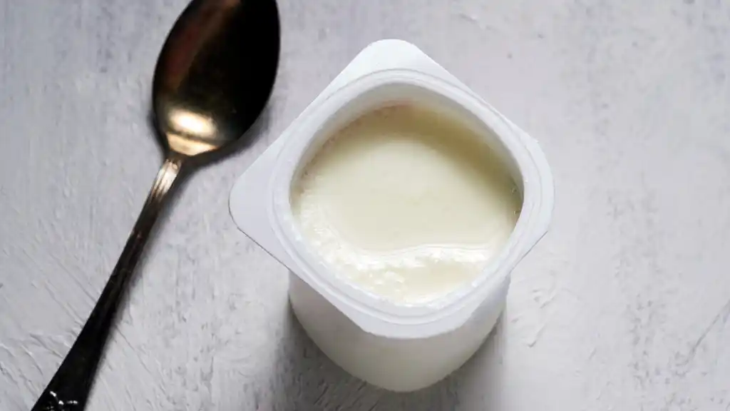 Los 10 mejores alimentos con probióticos naturales 2