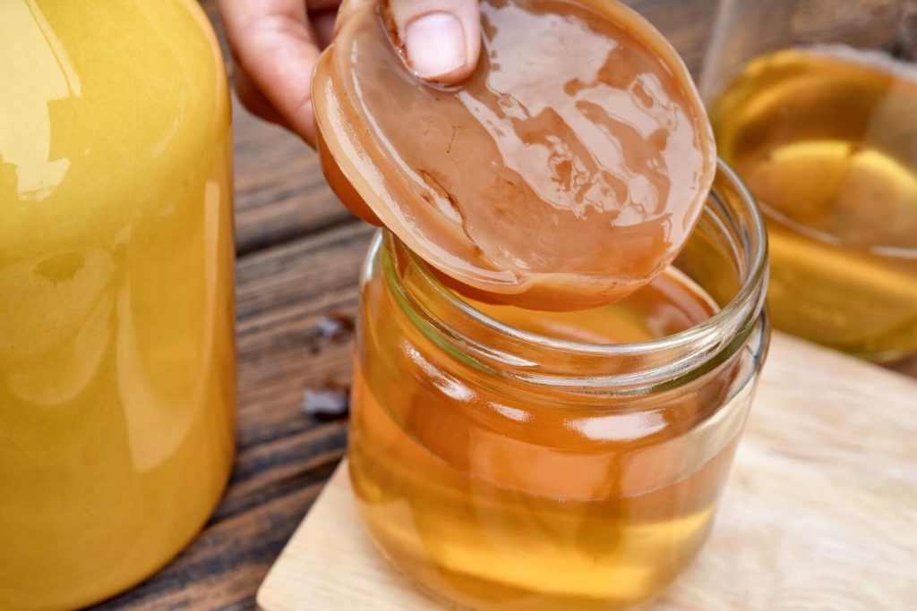 kombucha té fermentado