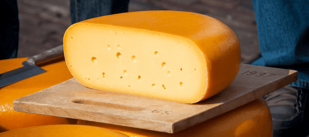 alimentos con probioticos 7