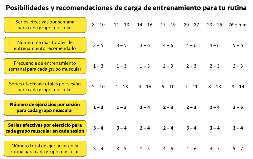 ¿Cuántos ejercicios hacer por grupo muscular? 14 Carga de entrenamiento rutina