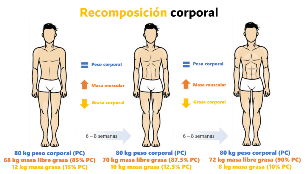 Recomposición en personas entrenadas
