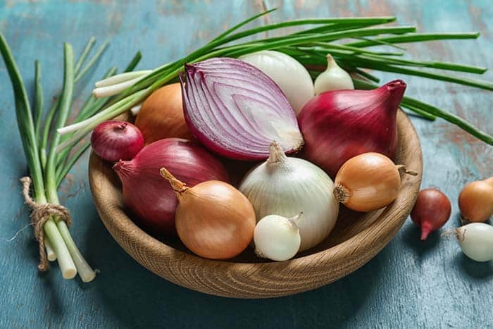 tipos cebollas