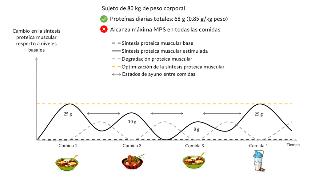 Distribución de proteínas diarias