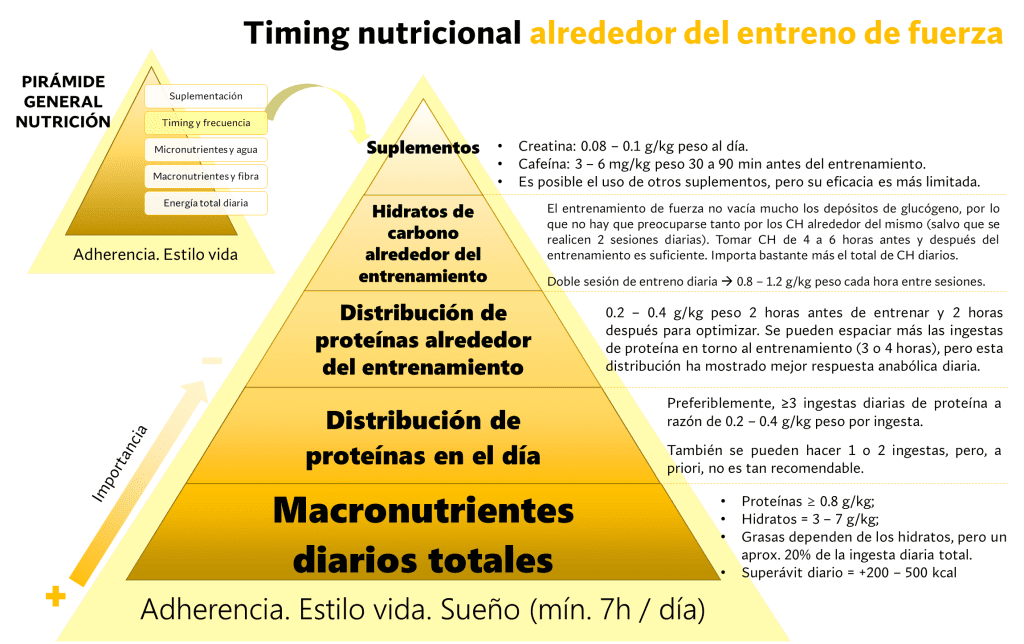 Pirámide importancia del timing nutricional