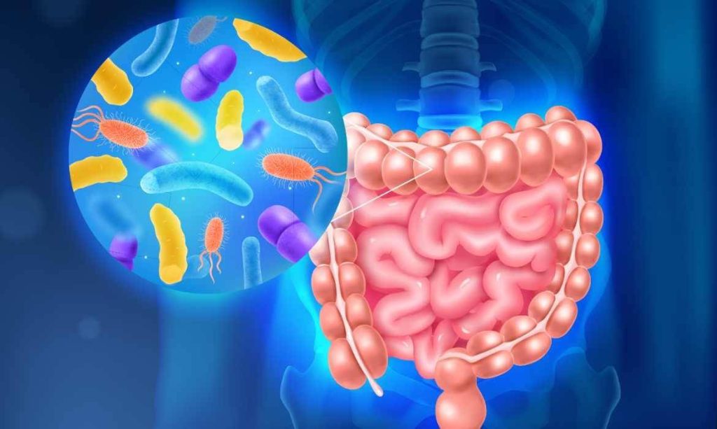 Salud intestinal y la microbiota