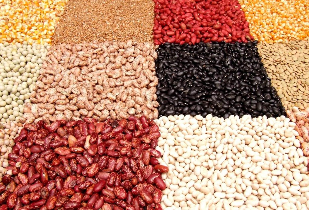 Alimentos con energía y proteínas