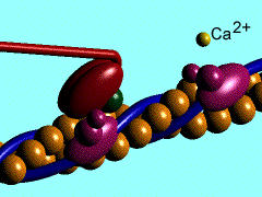 contraccion muscular 7