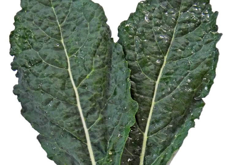 Hojas verdes alimento vegano