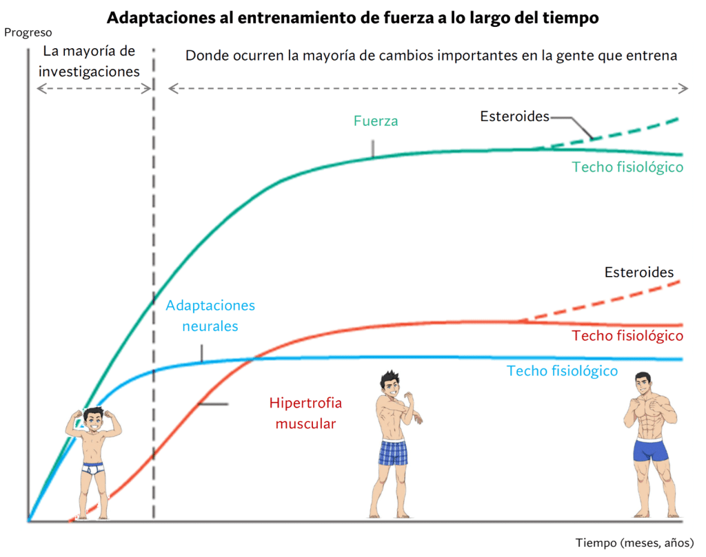 Progreso en el entrenamiento con cargas