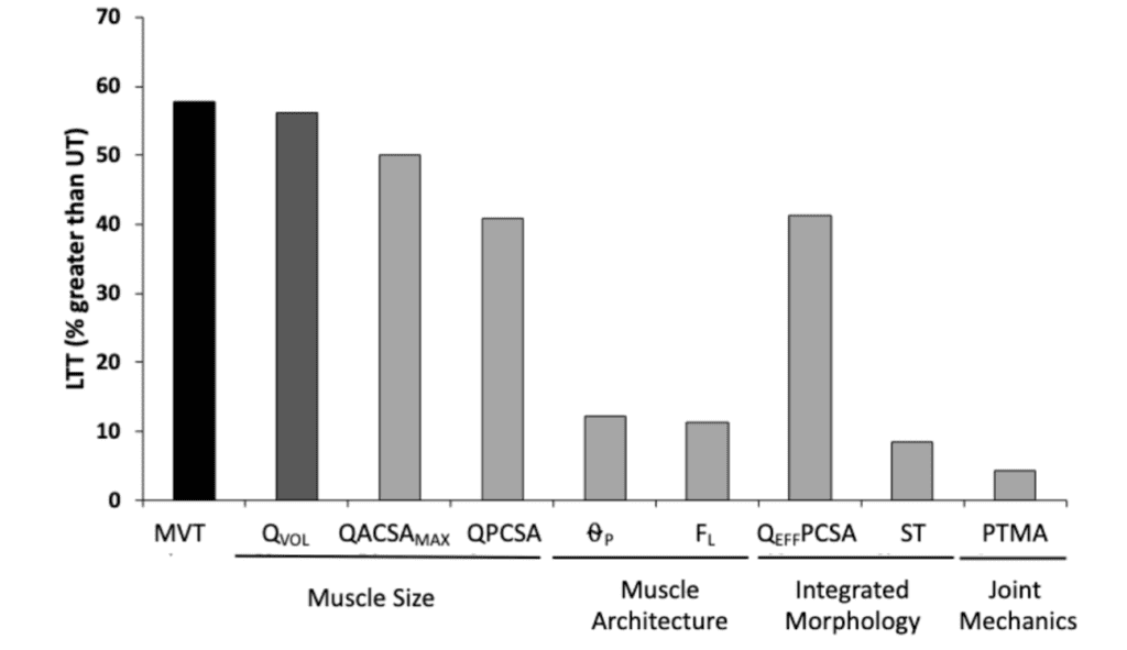 Variables musculoesqueléticas