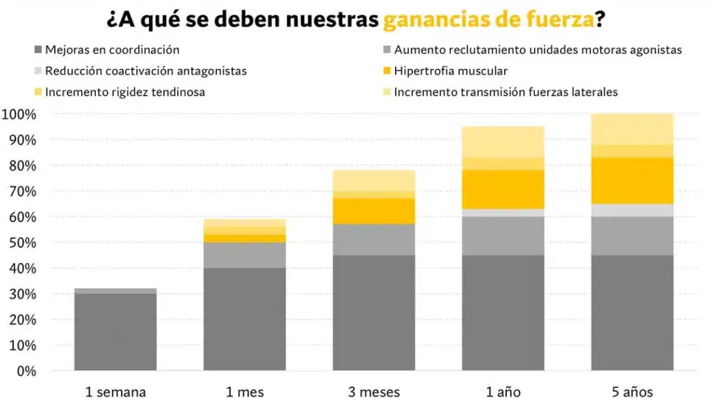 factores que infuyen para ganar fuerza