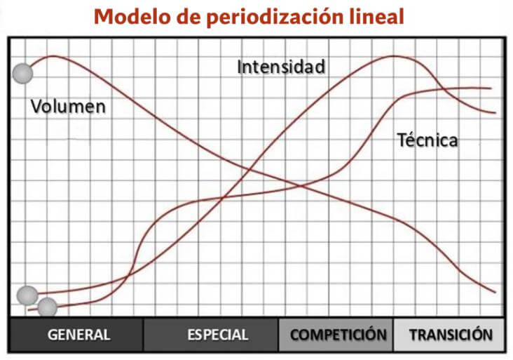 Modelo de periodización lineal