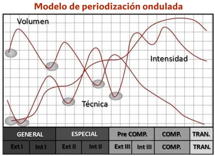 Modelo de periodización ondulada