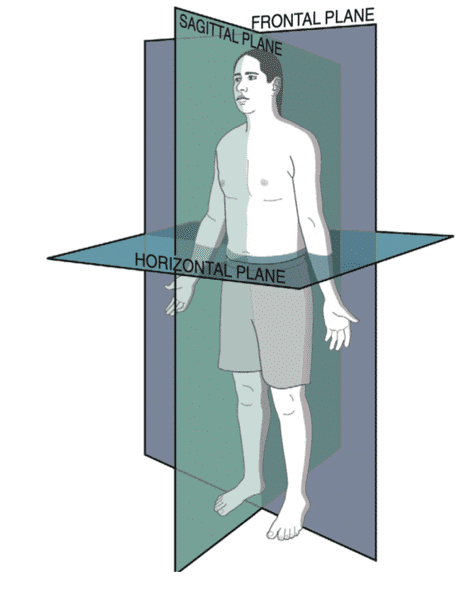 Movimiento del hombro