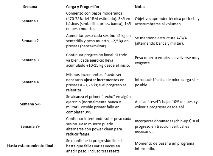 Resumen de la progresión del programa
