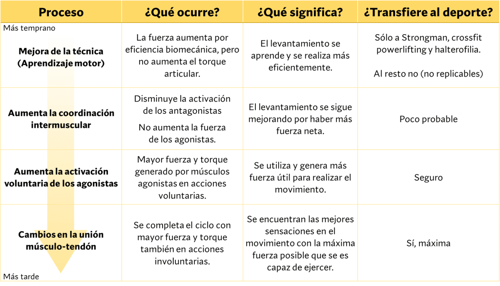 Progreso de las adaptaciones neurales