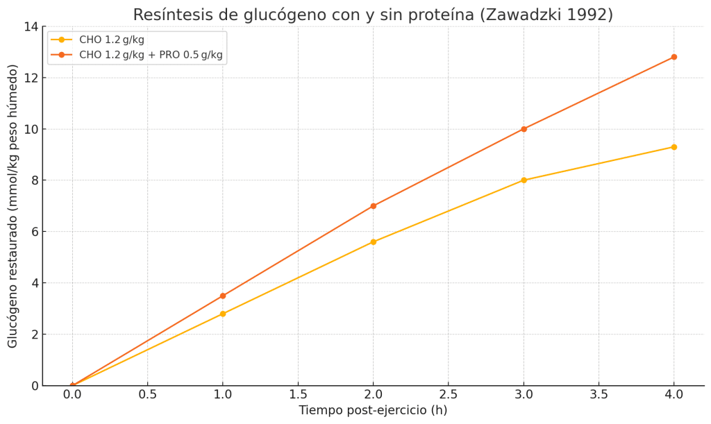 Resíntesis de glucógeno muscular