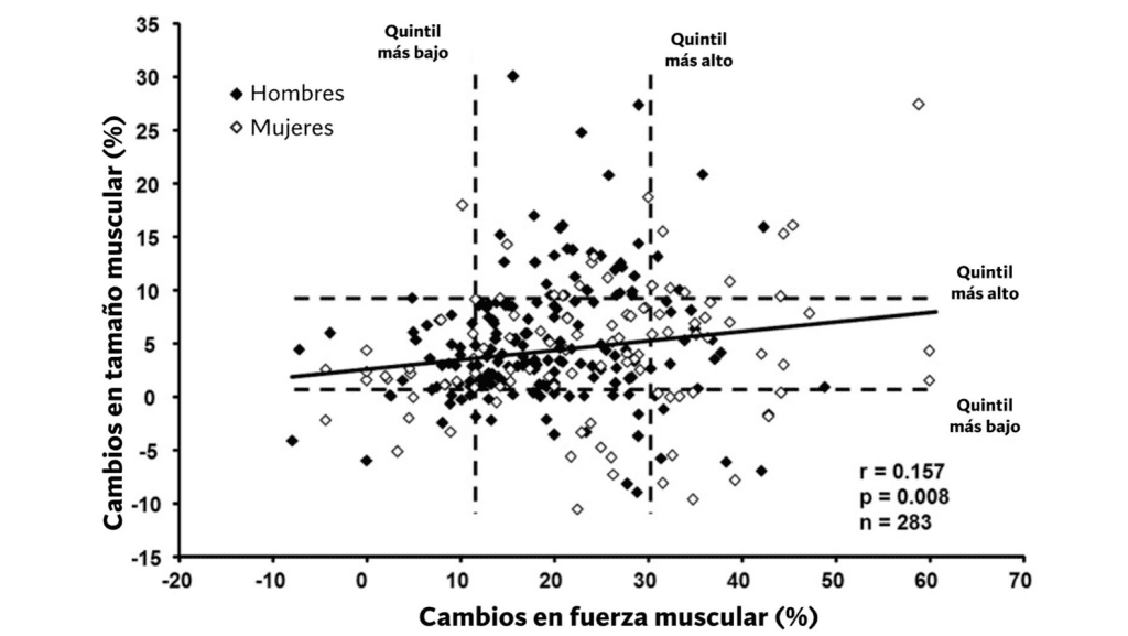 Cambios en la fuerza muscular