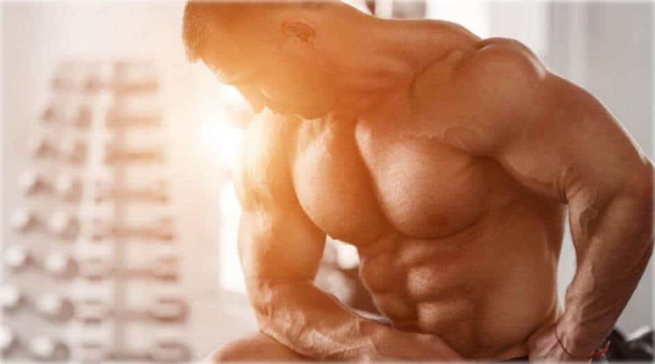 Adaptaciones a largo plazo