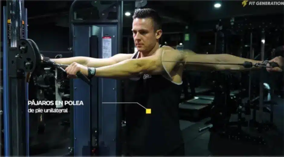 Pájaros en polea a una mano