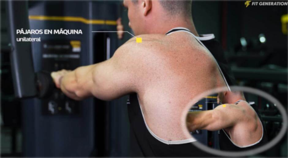 Pájaros en máquina a una mano